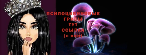 дживик Покров