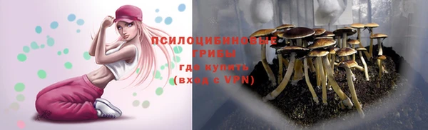 стафф Покачи