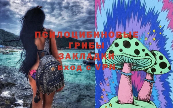 стафф Покачи