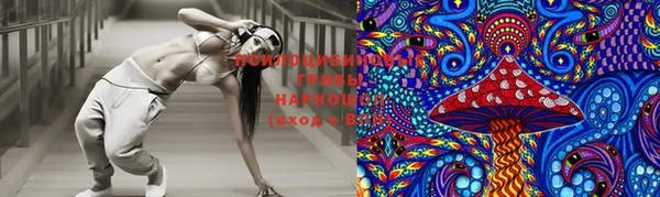 дживик Покров