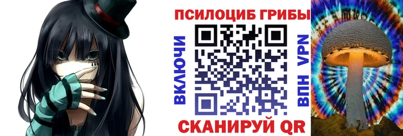Псилоцибиновые грибы Cubensis Аксай