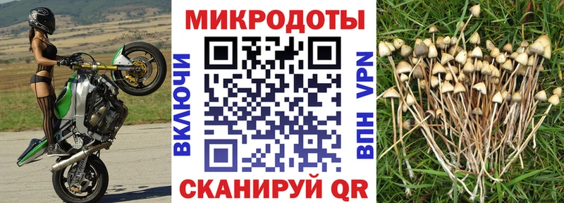 mega ТОР  Аксай  Псилоцибиновые грибы мицелий  наркотики 