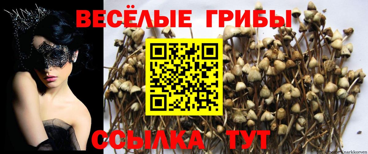 Псилоцибиновые грибы мицелий  Вход с VPN  Аксай 