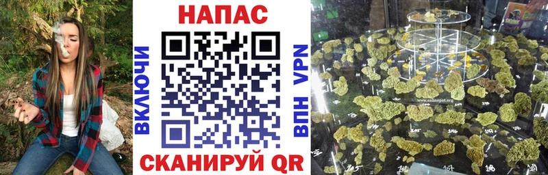 Шишки марихуана конопля Аксай